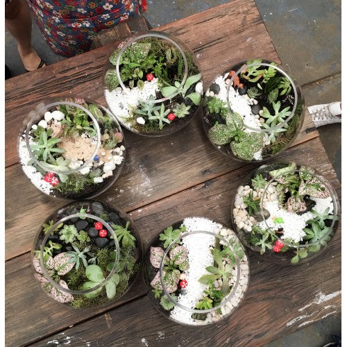 Eco indoor garden building workshops