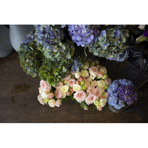 Flower Therapy