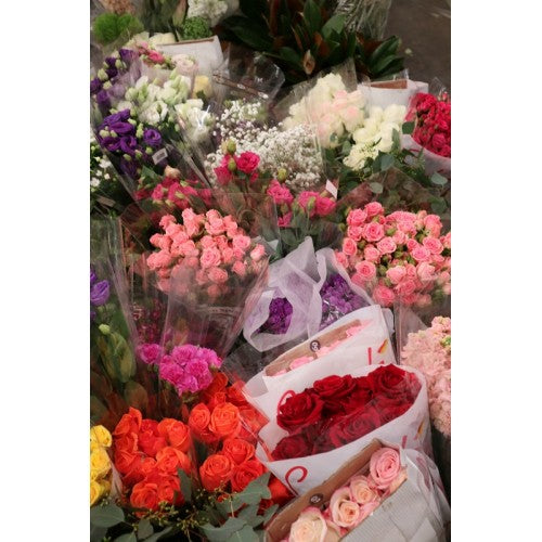 Floral Medicine