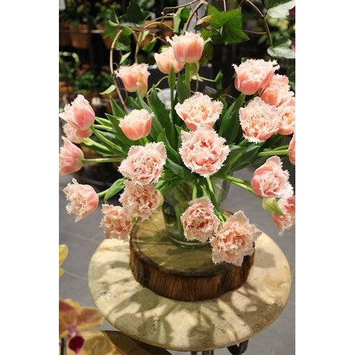 Beautiful Winter Blooms