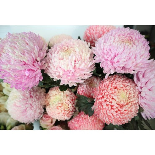 Stunning gift flowers