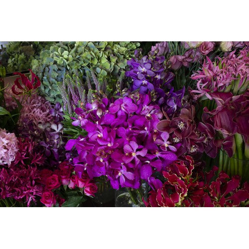In full flower