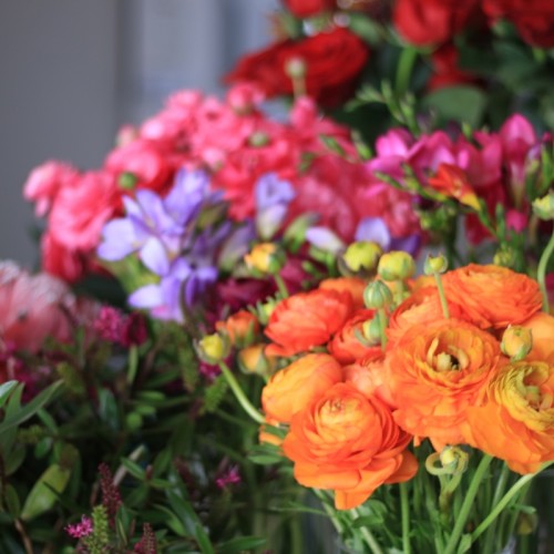 Gorgeous springtime flowers