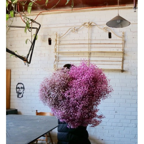 Pre spring delights