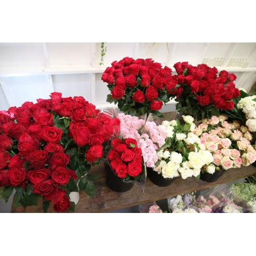 Flower abundance