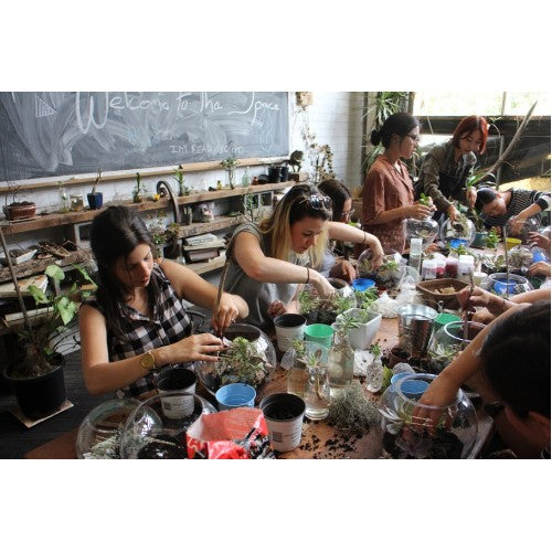Fun Terrarium workshop @ The space Sydney
