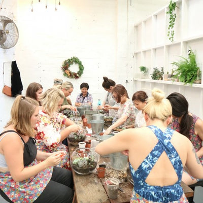 Terrarium workshop with plant lovers