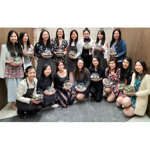Terrarium hen workshops