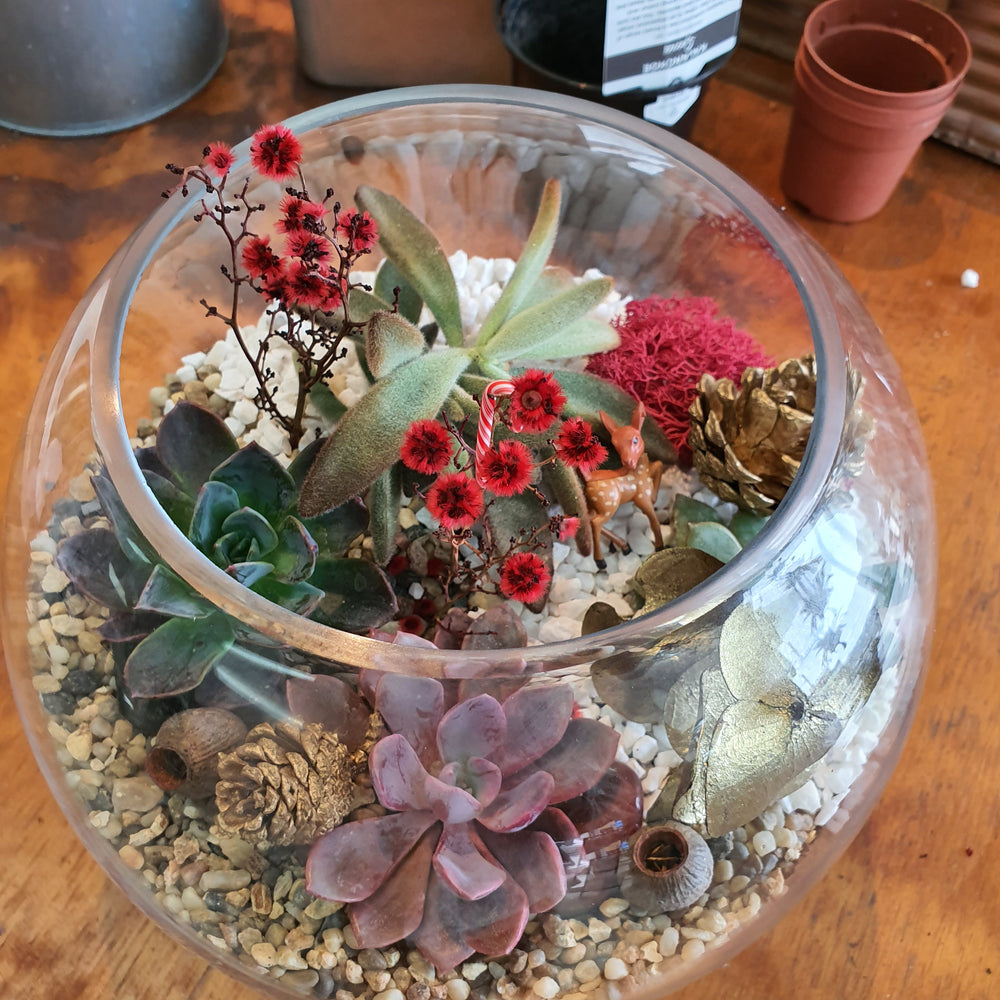 Christmas Terrarium Workshop