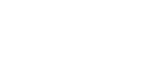 Flower Lane & Co