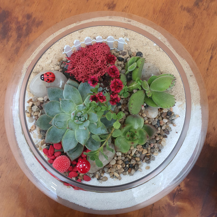 terrarium-workshop-indoor-garden-sydney-class-succulent