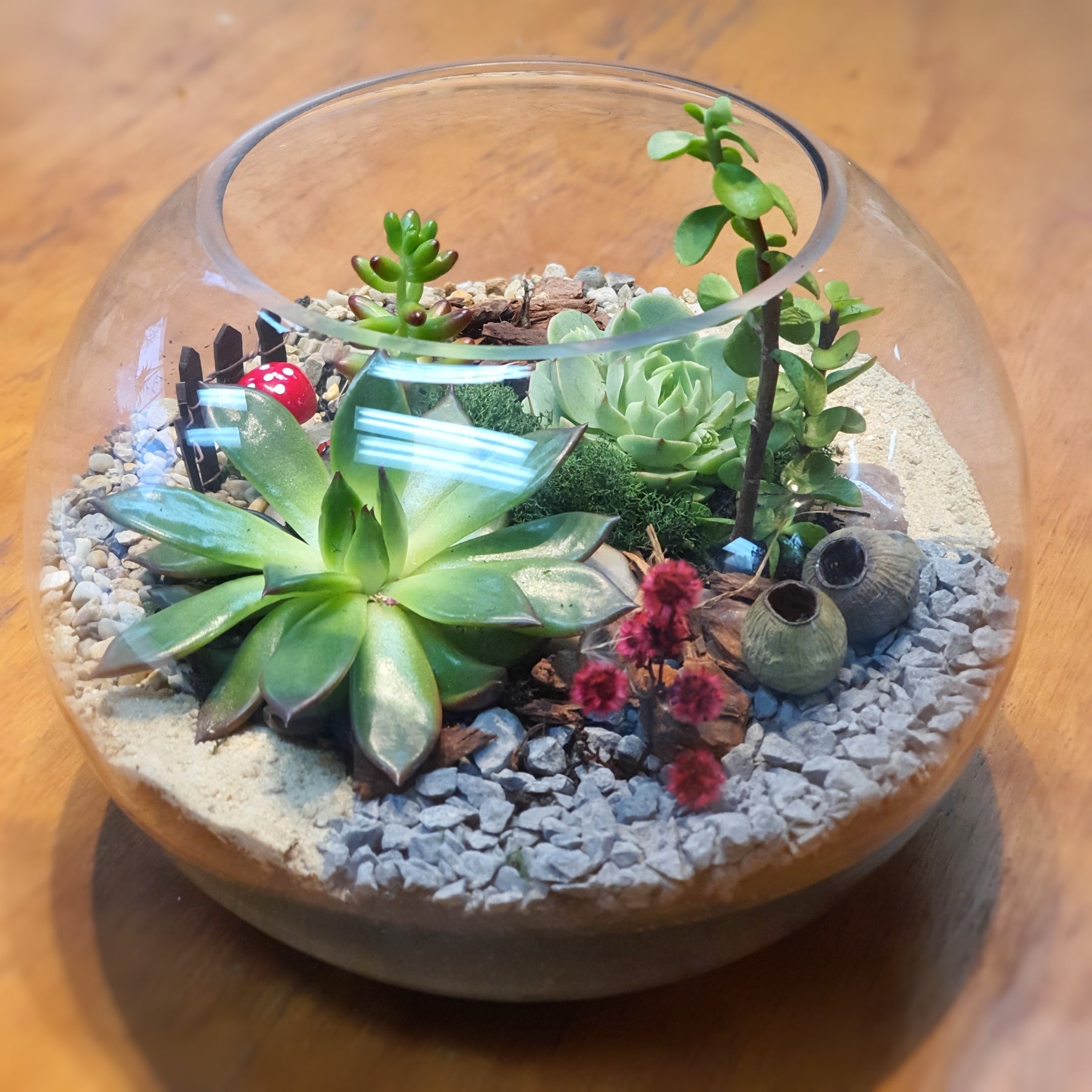 fish bowl succulent terrarium Terrarium Fishbowl (2 sizes available) | Sydney Alexandria Boutique Florist