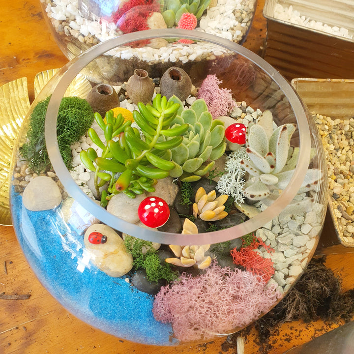 Terrarium Workshop - Flower Lane &amp; Co - Sydney Alexandria Bespoke Florist - Same day delivery