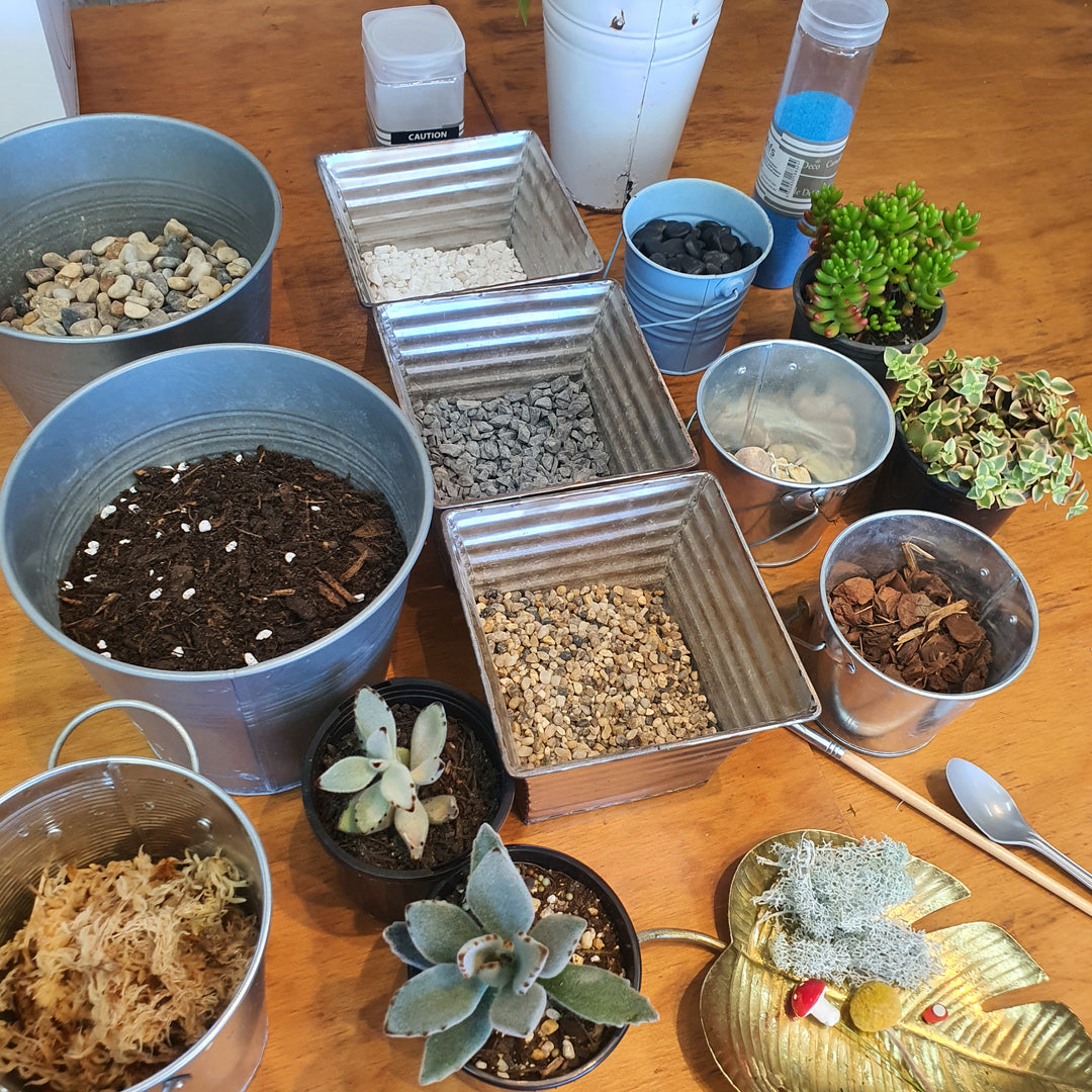 Terrarium Workshop - Flower Lane &amp; Co - Sydney Alexandria Bespoke Florist - Same day delivery