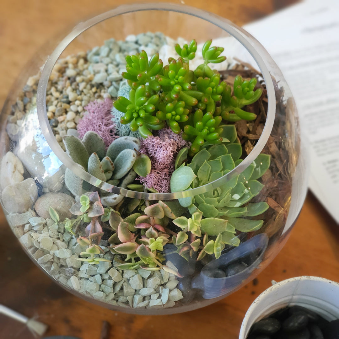 Terrarium Workshop - Flower Lane &amp; Co - Sydney Alexandria Bespoke Florist - Same day delivery