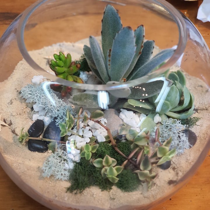 Terrarium Workshop - Flower Lane &amp; Co - Sydney Alexandria Bespoke Florist - Same day delivery