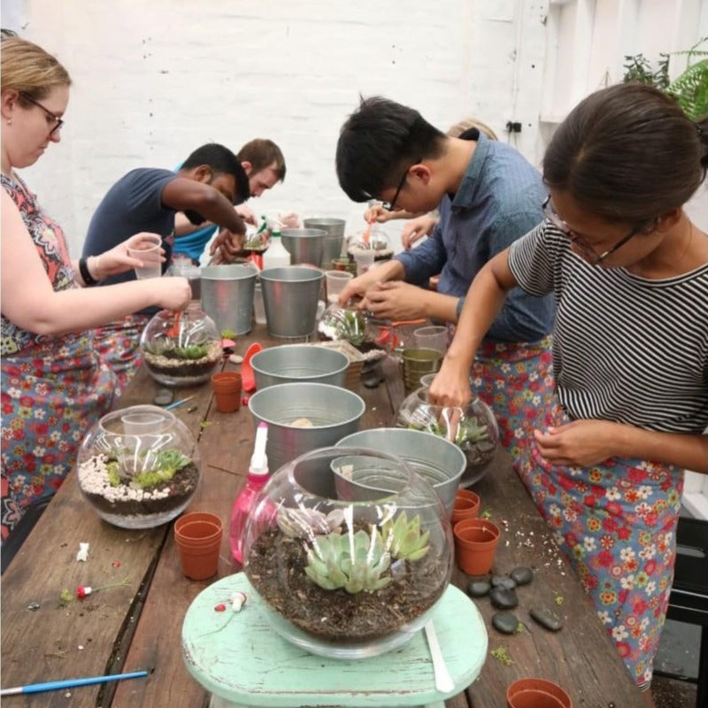 terrarium-workshop-indoor-garden-sydney-class-succulent