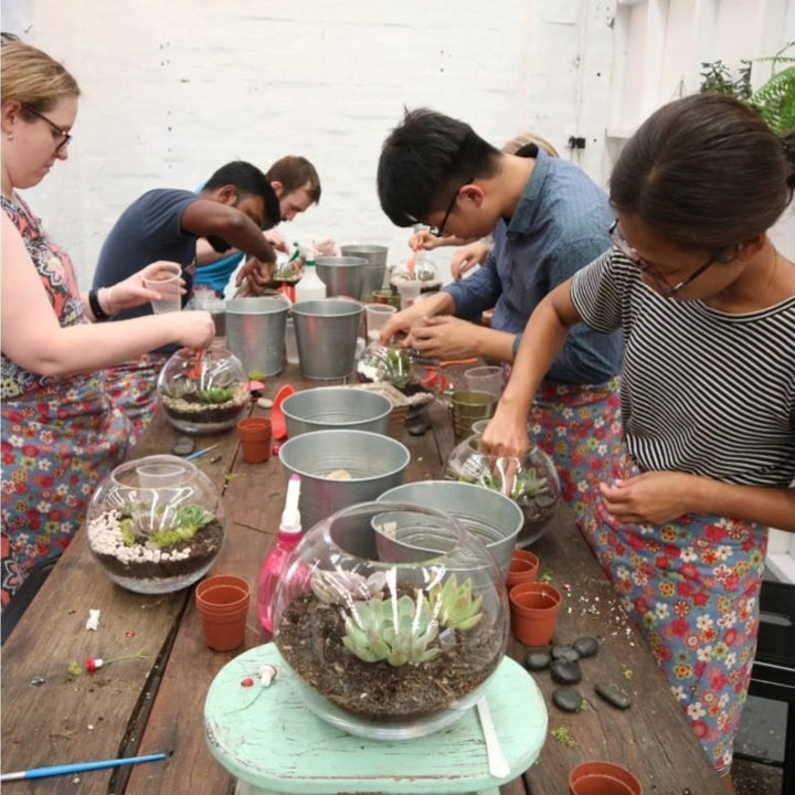 terrarium-workshop-indoor-garden-sydney-class-succulent